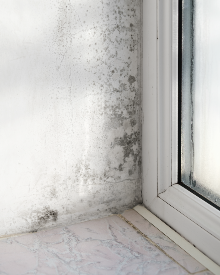 Cold Homes, Missed Targets: Why Energy Efficiency in the Private Rental Sector Can’t Wait